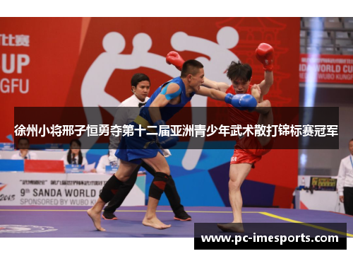 徐州小将邢子恒勇夺第十二届亚洲青少年武术散打锦标赛冠军